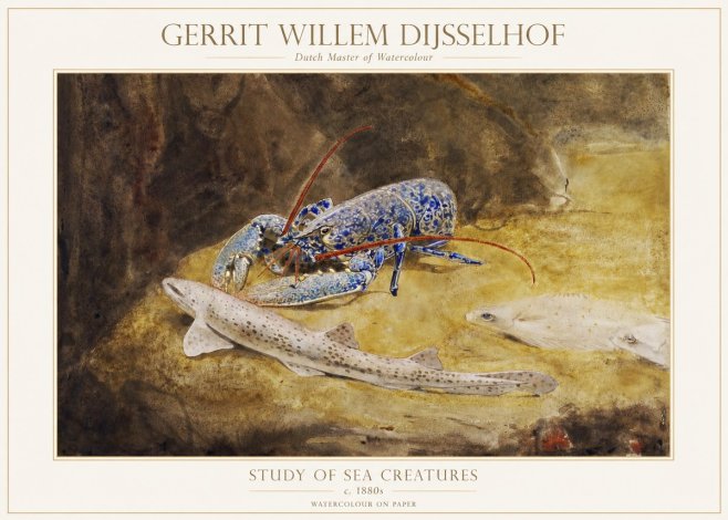 Gerrit Willem Dijsselhof Study of Sea Creatures No1 - Affiche