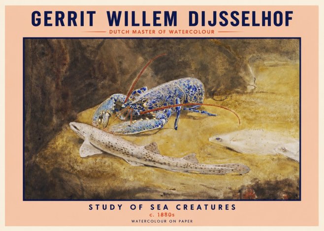 Gerrit Willem Dijsselhof Study of Sea Creatures No2 - Affiche