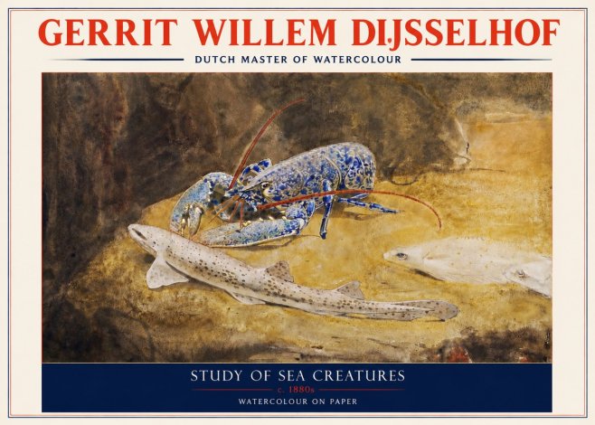 Gerrit Willem Dijsselhof Study of Sea Creatures No3 - Affiche