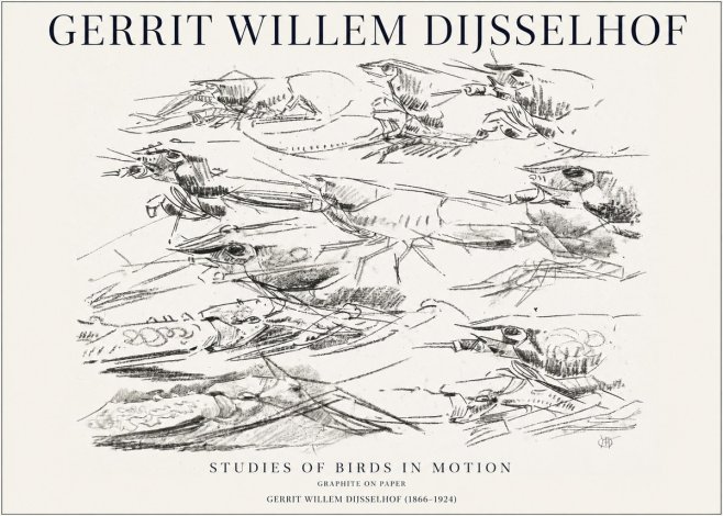 Gerrit Willem Dijsselhof Studies of Birds in Motion No1 - Affiche