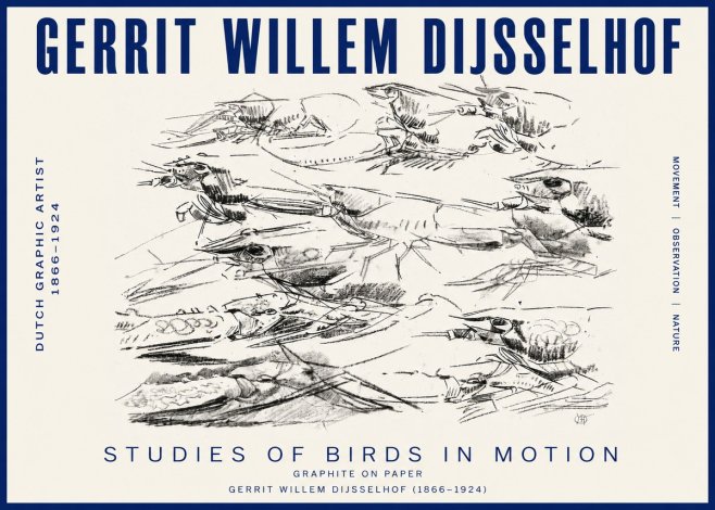 Gerrit Willem Dijsselhof Studies of Birds in Motion No3 - Affiche