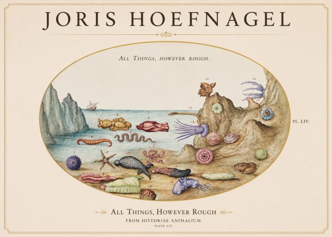 Joris Hoefnagel Totvs Echinvs Asper. Plate Liv No2 - Affiche