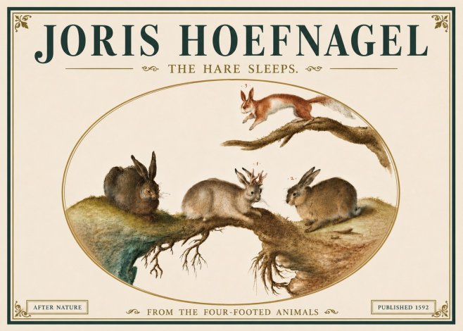 Joris Hoefnagel Lepvs Dormit No6 - Affiche
