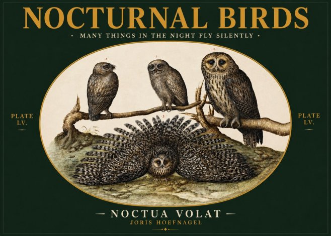 Joris Hoefnagel Noctva Volat No3 - Affiche