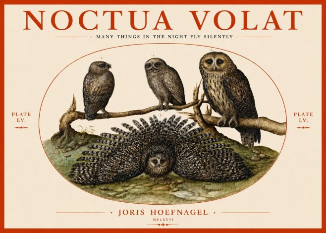 Joris Hoefnagel Noctva Volat No4 - Affiche