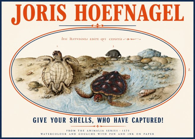 Joris Hoefnagel Two Turtles in a Stream No4 - Affiche