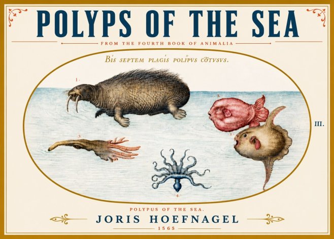 Joris Hoefnagel Polyps of the Sea No5 - Affiche
