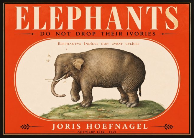 Joris Hoefnagel Elephant Does Not Drop Its Ivories No2 - Affiche