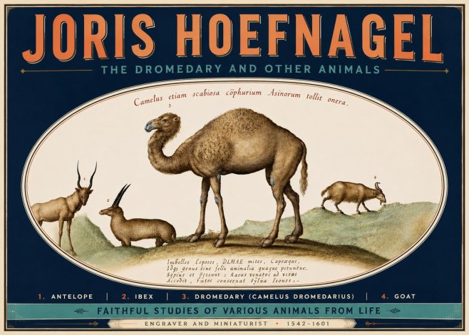 Joris Hoefnagel The Dromedary and Other Animals from Studies of Nature No6 - Affiche