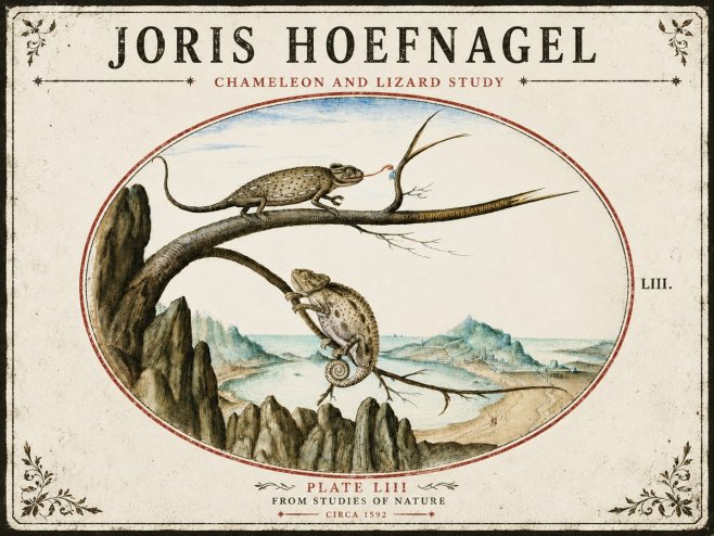 Joris Hoefnagel Chameleon and Lizard No5 - Affiche