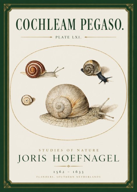 Joris Hoefnagel The Four Snails No3 - Affiche