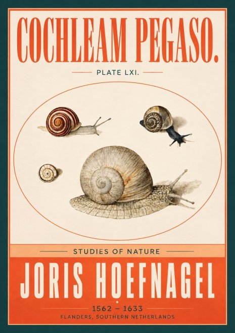 Joris Hoefnagel The Four Snails No4 - Affiche