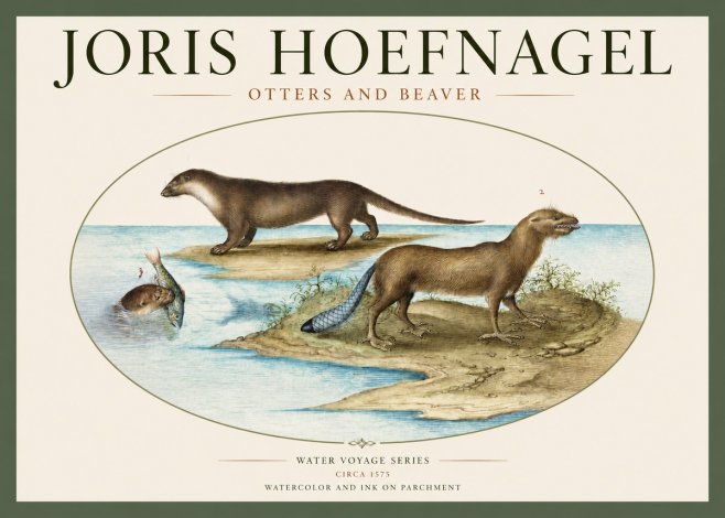 Joris Hoefnagel The Four-footed Creatures No3 - Affiche