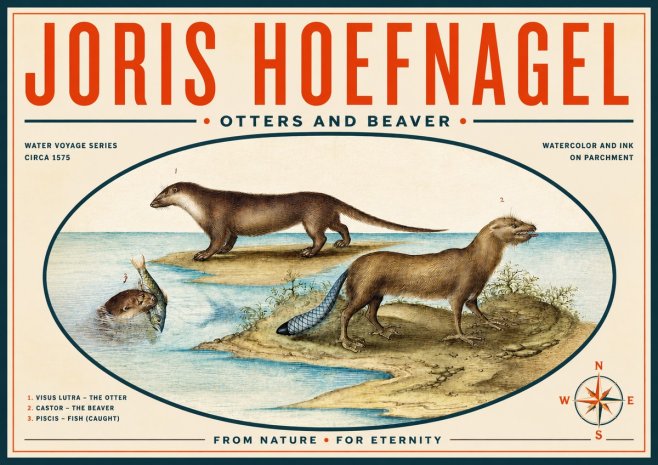 Joris Hoefnagel The Four-footed Creatures No6 - Affiche