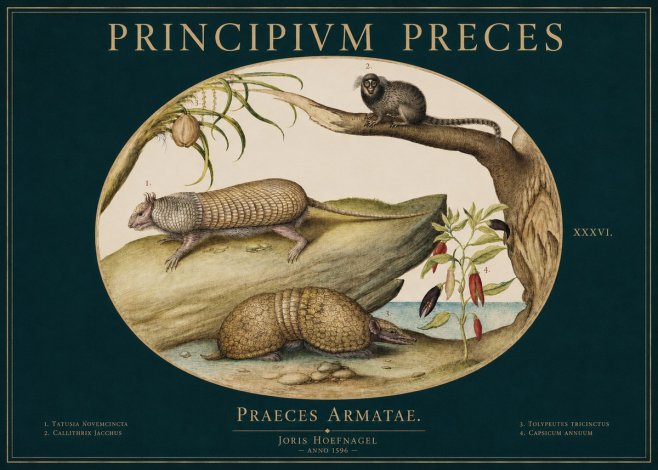 Joris Hoefnagel Praeces Armatae. No3 - Affiche