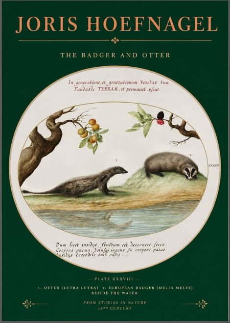 Joris Hoefnagel Studies of Animals and Nature Xxxxiii No3 - Affiche