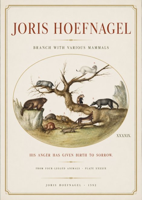 Joris Hoefnagel Branch with Various Mammals No3 - Affiche