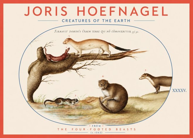 Joris Hoefnagel Creatures of the Earth I No3 - Affiche