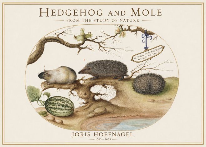 Joris Hoefnagel Hedgehog and Mole No1 - Affiche
