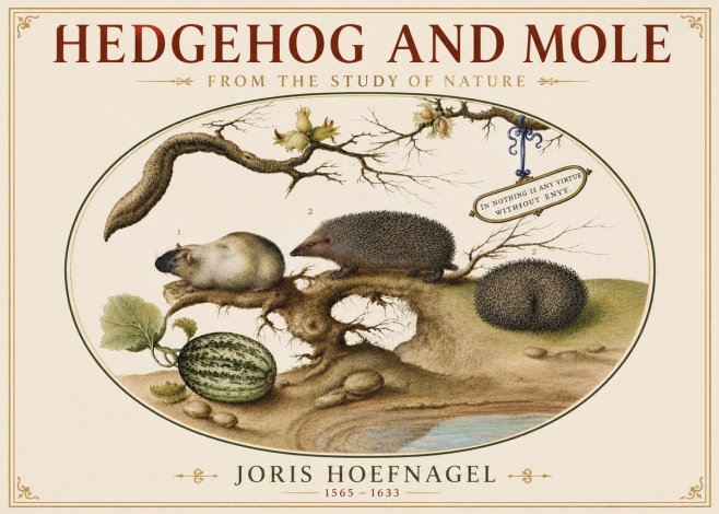 Joris Hoefnagel Hedgehog and Mole No5 - Affiche