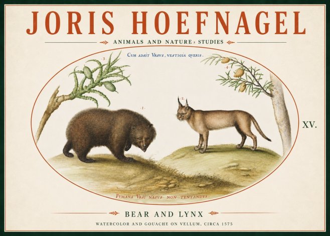Joris Hoefnagel Bear and Lynx No6 - Affiche