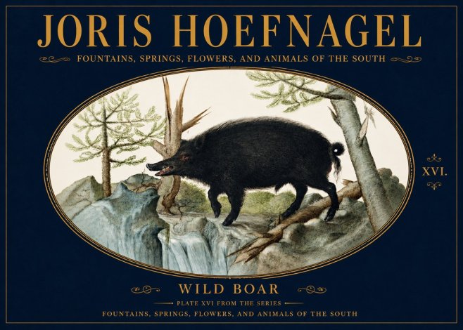 Joris Hoefnagel Fountains, Springs, Flowers, and Animals of the South - Plate Xvi No5 - Affiche