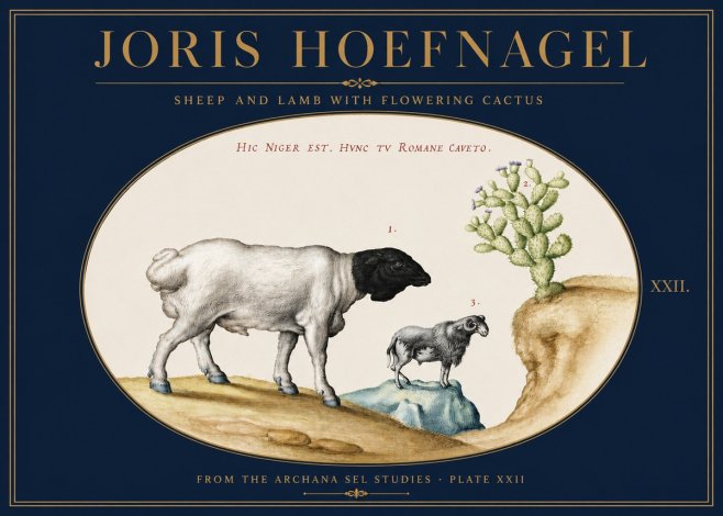 Joris Hoefnagel Sheep and Lamb with Flowering Cactus No3 - Affiche
