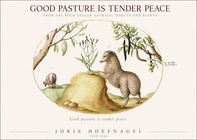 Joris Hoefnagel Good Pasture Is Tender Peace. No1 - Affiche