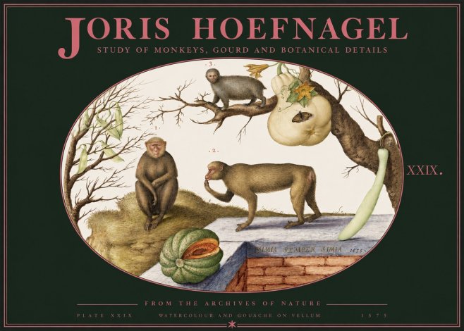 Joris Hoefnagel But Always a Monkey, Always a Monkey. Plate Xxix No3 - Affiche
