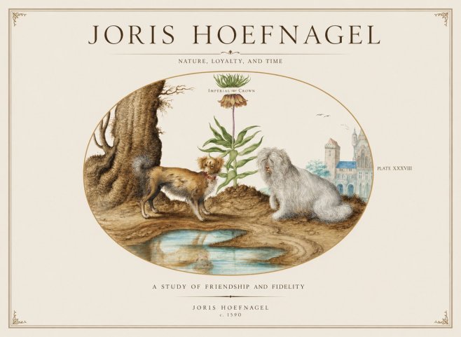 Joris Hoefnagel A Study of Friendship and Fidelity No1 - Affiche