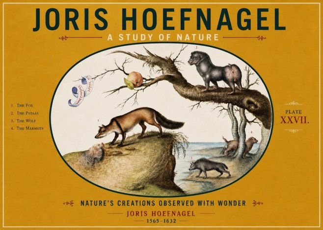 Joris Hoefnagel A Study of Nature - Plate Xxvii No4 - Affiche