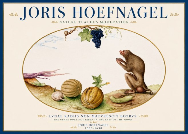 Joris Hoefnagel Nature Teaches Moderation No5 - Affiche