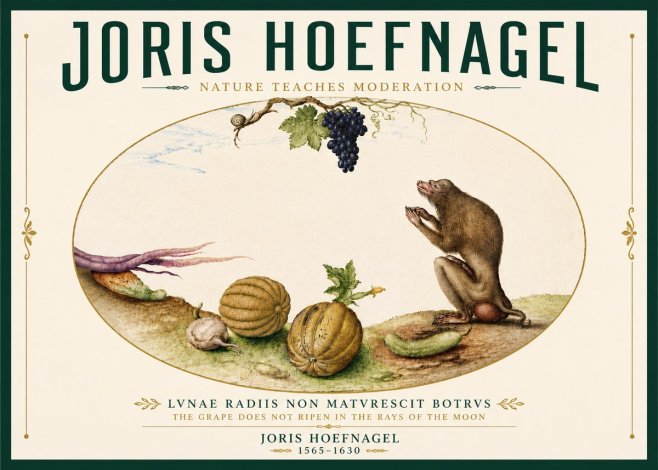 Joris Hoefnagel Nature Teaches Moderation No6 - Affiche