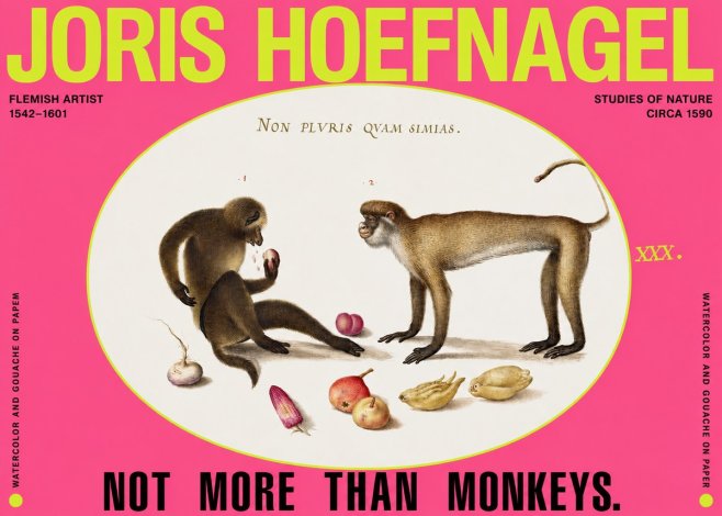 Joris Hoefnagel Not More Than Monkeys No2 - Affiche