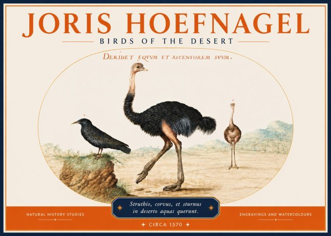 Joris Hoefnagel Birds of the Desert No3 - Affiche