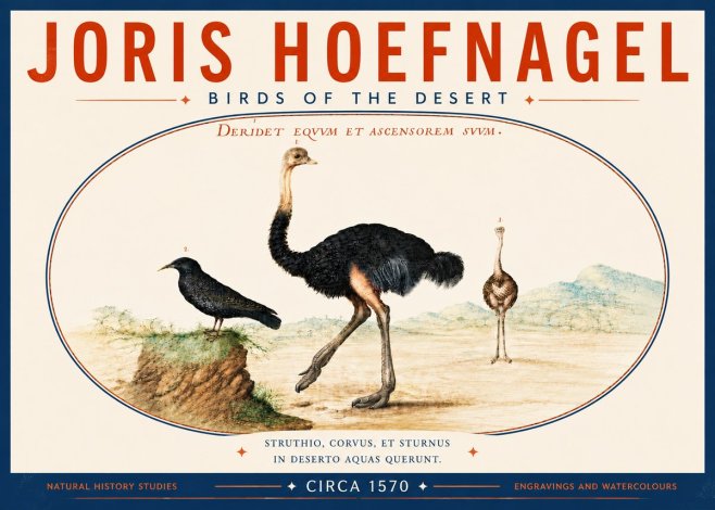 Joris Hoefnagel Birds of the Desert No6 - Affiche