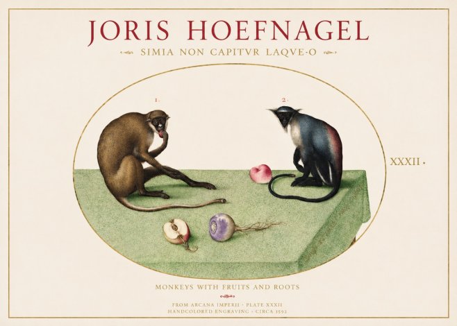 Joris Hoefnagel Monkeys with Fruits and Roots No1 - Affiche