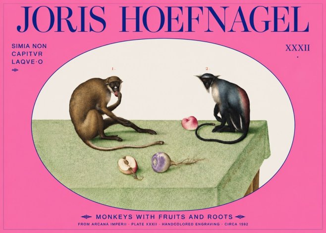 Joris Hoefnagel Monkeys with Fruits and Roots No2 - Affiche