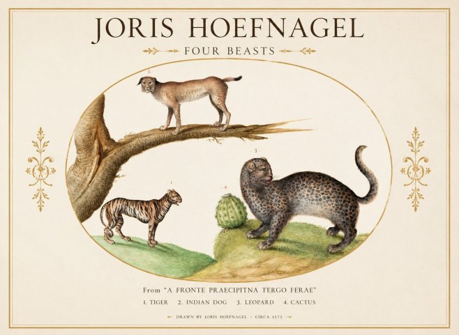 Joris Hoefnagel Four Beasts No1 - Affiche