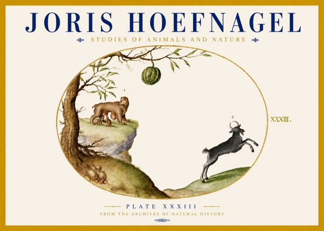Joris Hoefnagel Plate Xxxiii No5 - Affiche