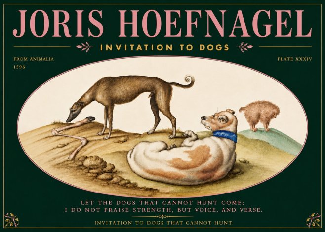 Joris Hoefnagel Invitation to Dogs No5 - Affiche