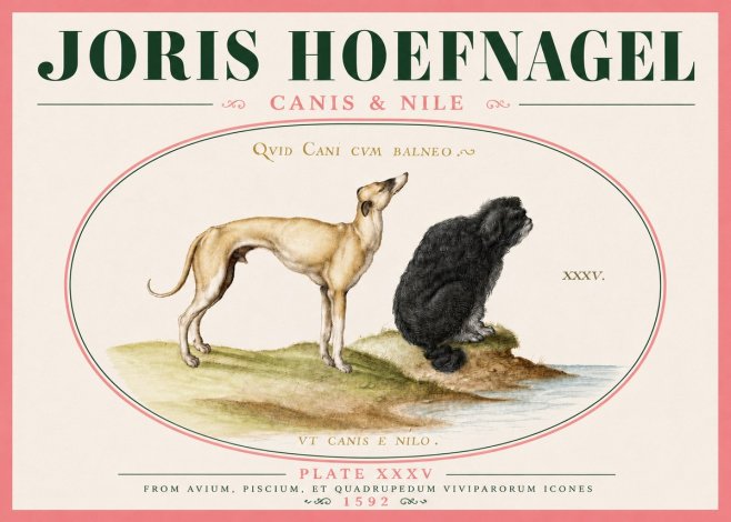 Joris Hoefnagel Neither Can a Dog Live in Baths No6 - Affiche