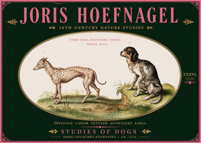 Joris Hoefnagel Studies of Dogs No6 - Affiche