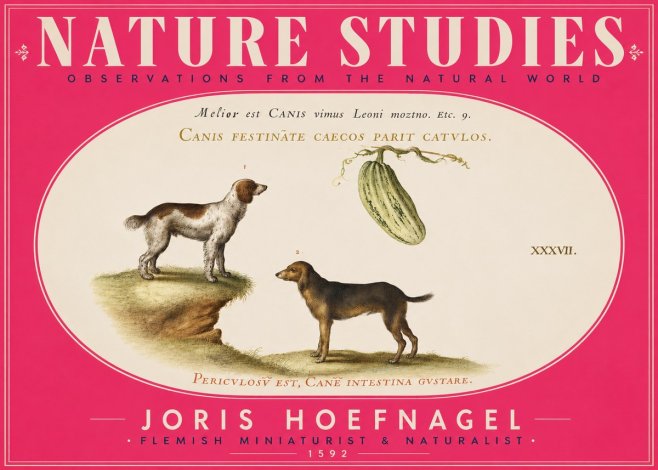 Joris Hoefnagel Canis Festinas Caecos Parit Catulos No5 - Affiche