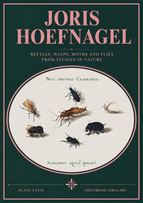 Joris Hoefnagel Scarabeus Aqvilä Qvaerit. No3 - Affiche