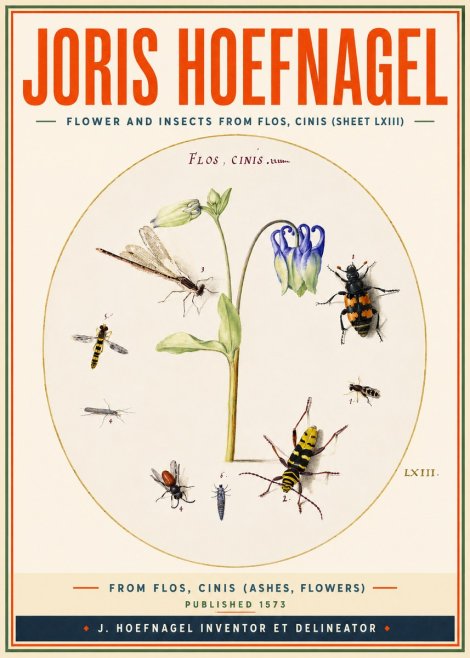 Joris Hoefnagel Insects and a Flower Study No4 - Affiche