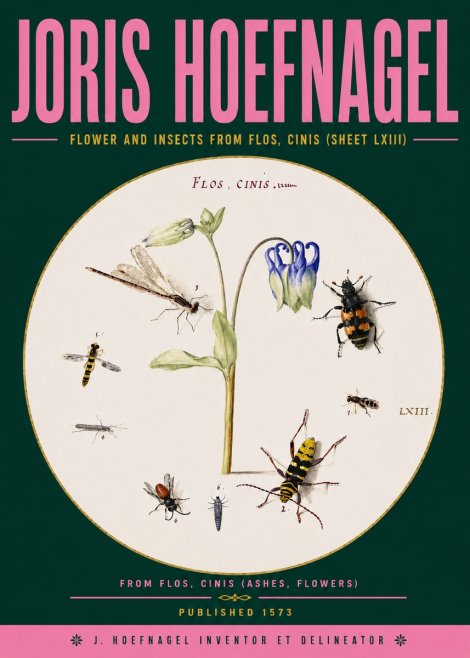 Joris Hoefnagel Insects and a Flower Study No6 - Affiche
