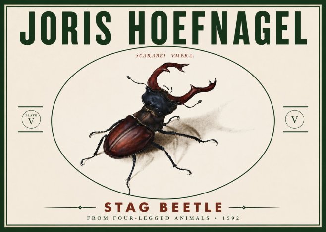 Joris Hoefnagel Stag Beetle No6 - Affiche