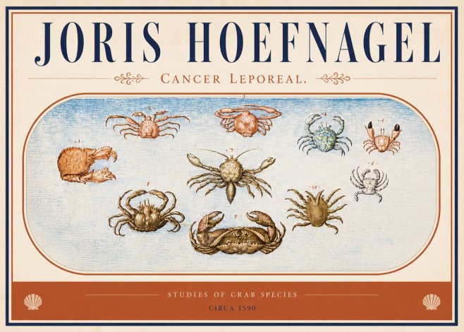 Joris Hoefnagel Cancer Leporeal. No4 - Affiche