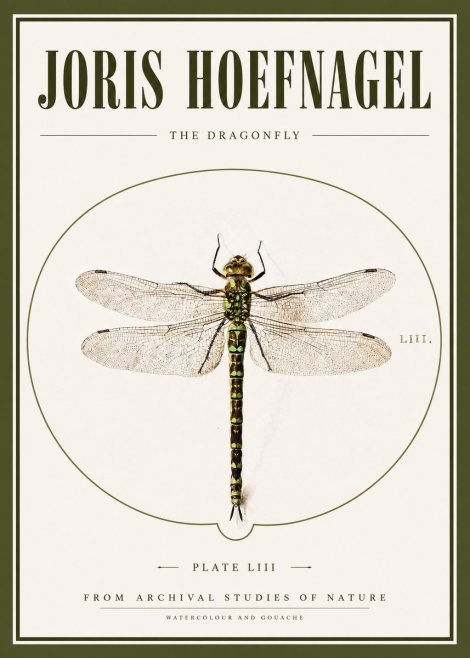 Joris Hoefnagel The Dragonfly No3 - Affiche